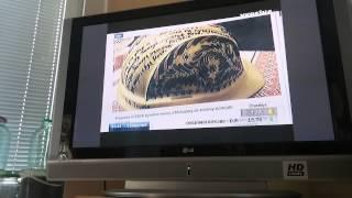 Ukrainian Helmet from Maidan  TV segment from network