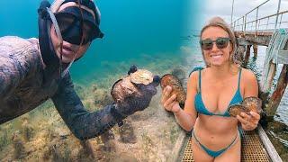 This is ACTUAL Scallop diving madness | Girlfriend dives for scallops | Kangaroo island | S1E8