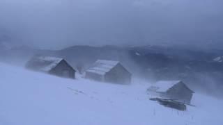  Winter Storm Ambience with Icy Howling Wind Sounds for Sleeping, Relaxing and Studying Background.
