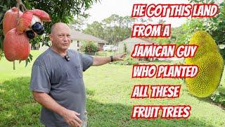 A Fruit Forest with More Room To Grow