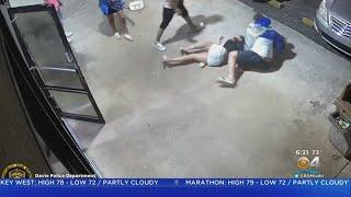 Woman Slammed To The Ground During Fight In Davie