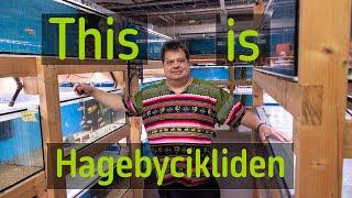 What is Hagebycikliden