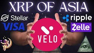 The Ripple $XRP of Asia: VELO - Part 1