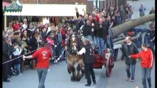 Denhalen 2010 Jonkheid Sancta Brigida Noorbeek Paardenkracht!