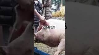 일본 초등학교 교육 방법