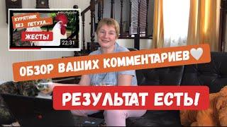 Переполох в курятнике. Как подселить петуха к курам. Новый петух.