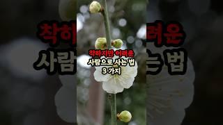 착하지만 어려운 사람으로 사는 법 3가지 #현실조언 #명언 #삶의지혜 #인생지혜