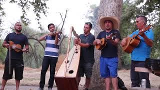 Espinas del alma- Conjunto de Arpa Grande Arpex