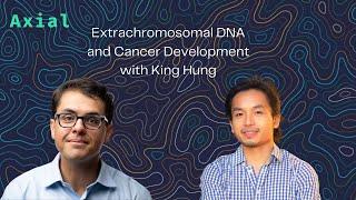 Extrachromosomal DNA and Cancer Development with King Hung