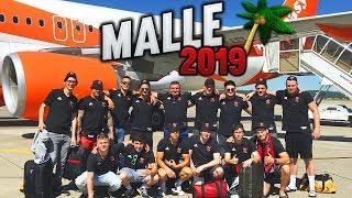 Malle 2019  ️