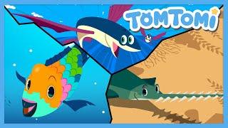 Unusual Fishes | Actual Images of Fishes | Unusual Series | Kids Song | TOMTOMI