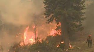 Firefighters Protecting Structures From Wind-Whipped Flames At Echo Summit