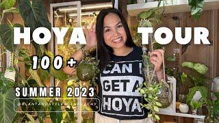 HOYA Plant Tour | Summer 2023 | Rare and Uncommon Species