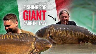 Carp Fishing for Continental Giants | Phenomenal Big Fish Haul