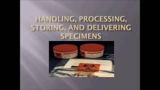 Handling, Processing, Storing and Delivering Specimens