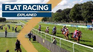 Flat Racing: Explained