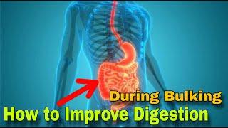 During Bulking. How to Improve Digestion ...||Sn Fitness Media||#fitness #workout #bodybuilding