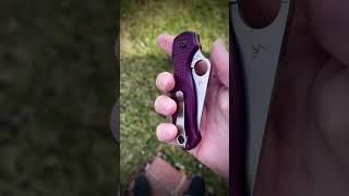 Spyderco para 3 lightweight #sharp #knives #edc #knife #spyderco #cut #blade #now #dream #youtube
