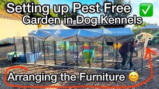 Pest Free Vegetable Garden Coming Along GREAT️ Container Gardening & EASY Raised Bed on Cheap Chair
