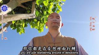 明心見性 Knowing the Mind and Seeing the Nature（中英文字幕 English subtitle）-- 美佛寺性仁法師 Venerable Xingren