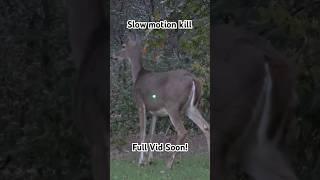 Slow motion deer shot!!! #hunting #deerhunting #deerhunter #wildlife #bowhunting #whitetail