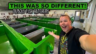 Something Is Fishy At The Dubois Fish Hatchery | This Was So Different!