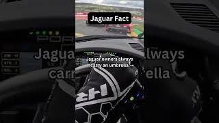 Jaguar Fact #jaguar #jaguars #unreliable