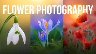 10 TIPS for Flower Photography