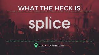 Learning Splice.com | Sample Library