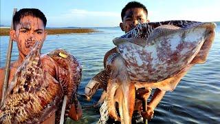 Bule nangkap Sotong BESAR berujung petaka | Ikan, Kerang & Sotong terjebak air surut