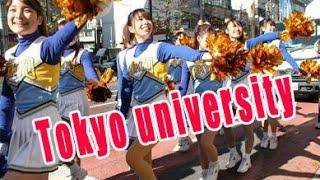 Tokyo university  the most prestigious university in Japan.