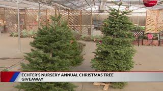 Arvada business hosts Christmas tree giveaway