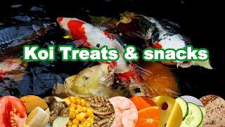 Koi food Treats and Feeding | Feeding Koi experiment