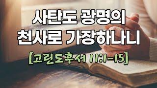 매일성경 고린도후서 11:1-15 [사탄도 광명의 천사로 가장하나니]