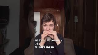 Willie Coleman’s Jig - Irish Harmonica #music #bluesharmonica #harmonica #musician #ireland #irish