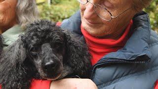 Legacy of compassion for animals