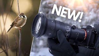 SIGMA 500mm f5.6 for SONY - Real World Review