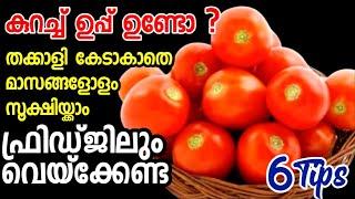 ഫ്രിഡ്ജില്ലാതെയും തക്കാളി കേടാകാതെ നീണ്ടനാൾ സൂക്ഷിയ്ക്കാം | How to store tomatoes long time