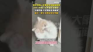 家養寵物一定要避免接觸貓糞便！14歲少年懶人式養貓突發癲癇？醫生：寄生蟲感染侵及顱腦 #貓咪