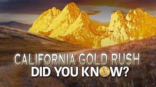 1849 Gold Rush: Did You Know?