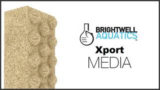 Brightwell Aquatics Xport Media