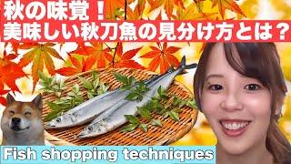 How to choose fish in season in autumn｜For Salmon, Saury, and Bonito.