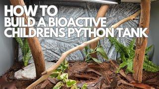 How To Build a Bioactive Children's Python Snake Enclosure / Tank