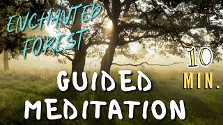 Enchanted Forest 10 Min Guided Meditation