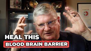 The SCIENCE Behind the BLOOD BRAIN BARRIER (BBB): Dr. Anderson's Top Tips for Healing It NATURALLY
