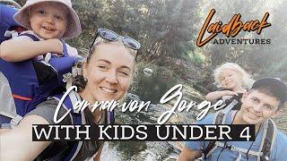 Carnarvon Gorge QLD with Kids