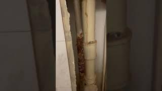 Аккуратный демонтаж часть вторая 89515250312 , г. Ростов-на-Дону