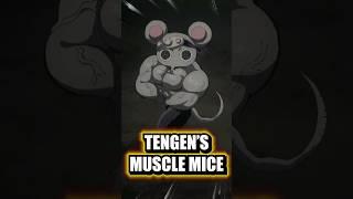 THE MUSCULAR MICE ARE HUGE !  Hashira Pets Explained #anime #demonslayer #kimetsunoyaiba