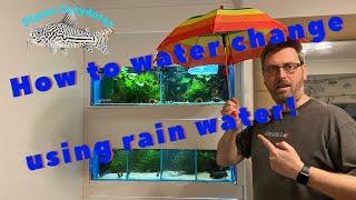 How to water change using rain water