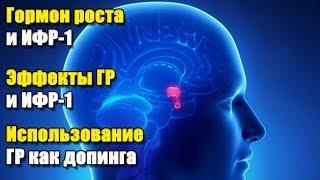 ГОРМОН РОСТА И ИФР-1 | ОПИСАНИЕ, ЭФФЕКТЫ, ДОЗЫ И ПРОТОКОЛЫ ПРИМЕНЕНИЯ